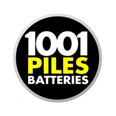 1001PILES